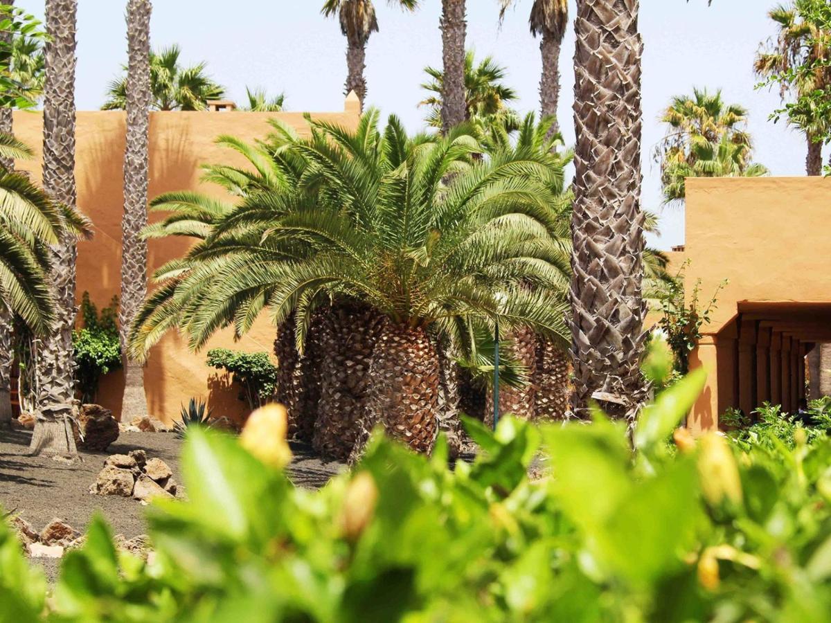 Family Apartment 1 Bedroom With Pool View - Oasis Duna Resort كوراليهو المظهر الخارجي الصورة