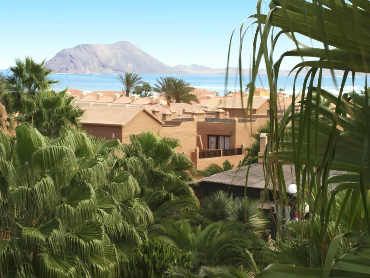 Family Apartment 1 Bedroom With Pool View - Oasis Duna Resort كوراليهو المظهر الخارجي الصورة